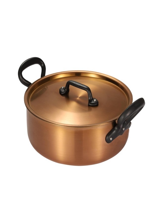 NUTRION Triply Stainless Steel Copper-Toned Non-Stick Cooking Pan with Lid, 2 Handles, 26 cm - Image 1